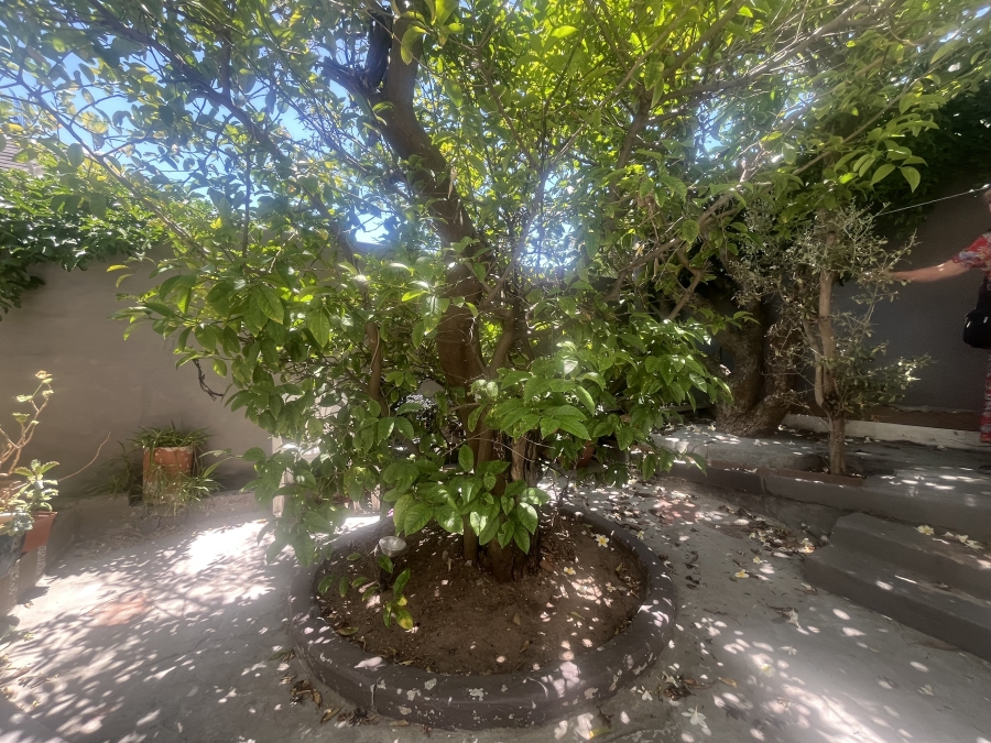 3 Bedroom Property for Sale in Vredehoek Western Cape